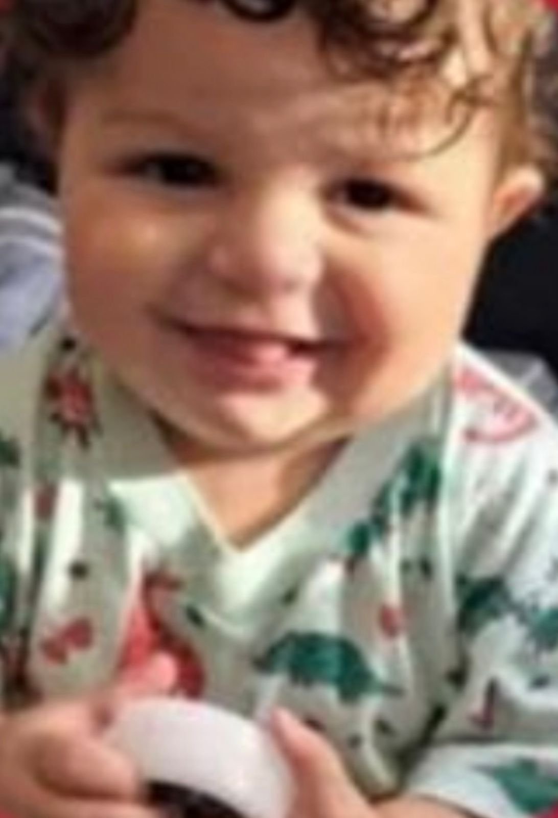 Bebê de 10 meses não resistiu aos ferimentos após ser atacado por um pitbull em Campos dos Goytacazes. O irmão e a babá também ficaram feridos
